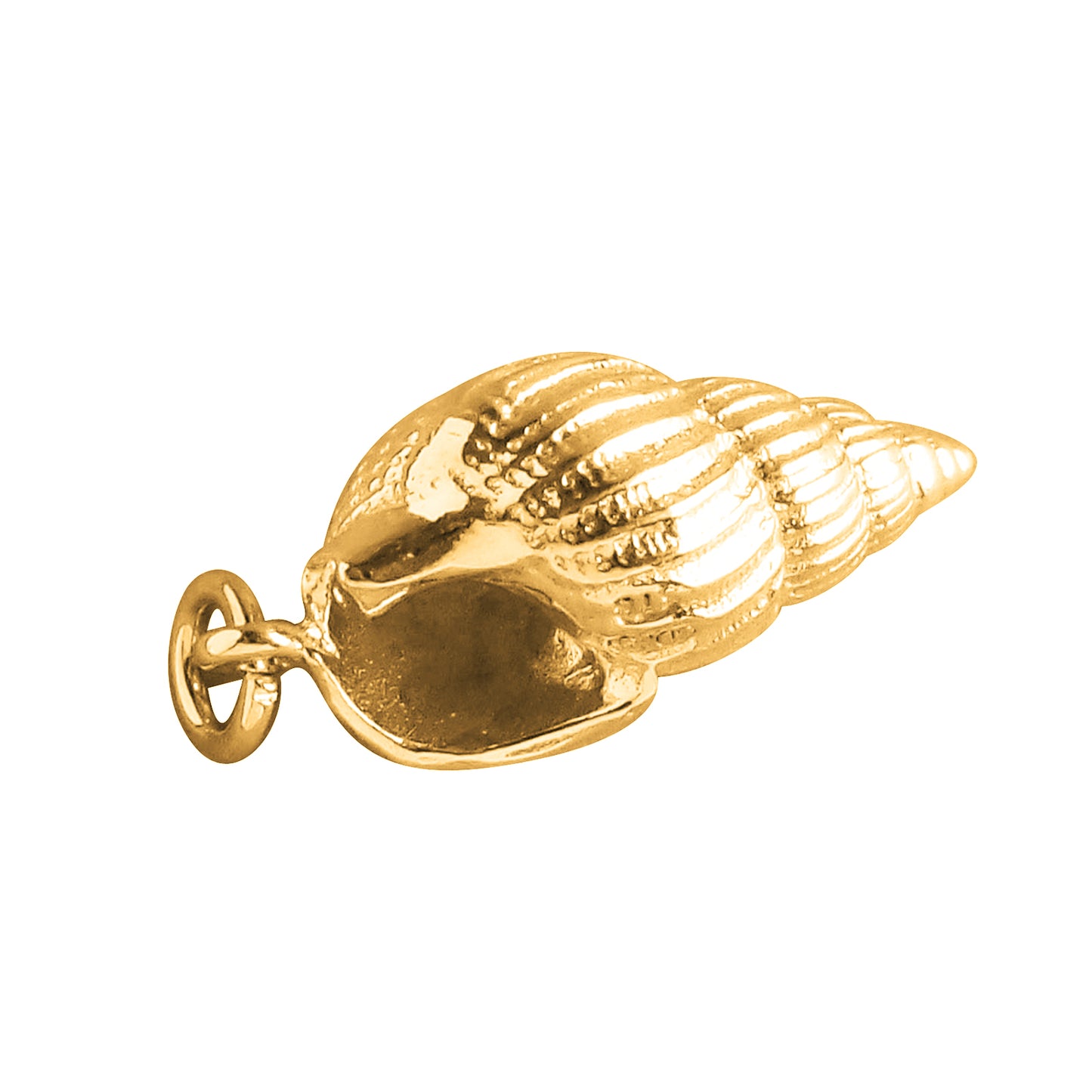 Tulip Seashell Charm