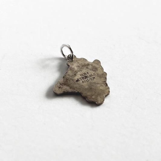 Vintage sterling silver and enamel Devon map charm