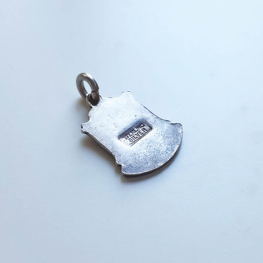 Silver shield-shaped pendant on a light gray background