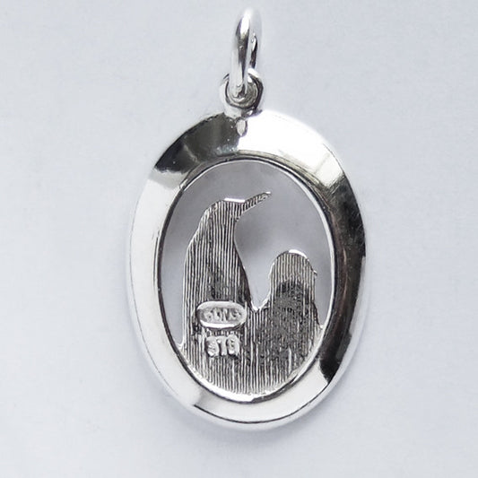 back of sterling silver Antarctica charm