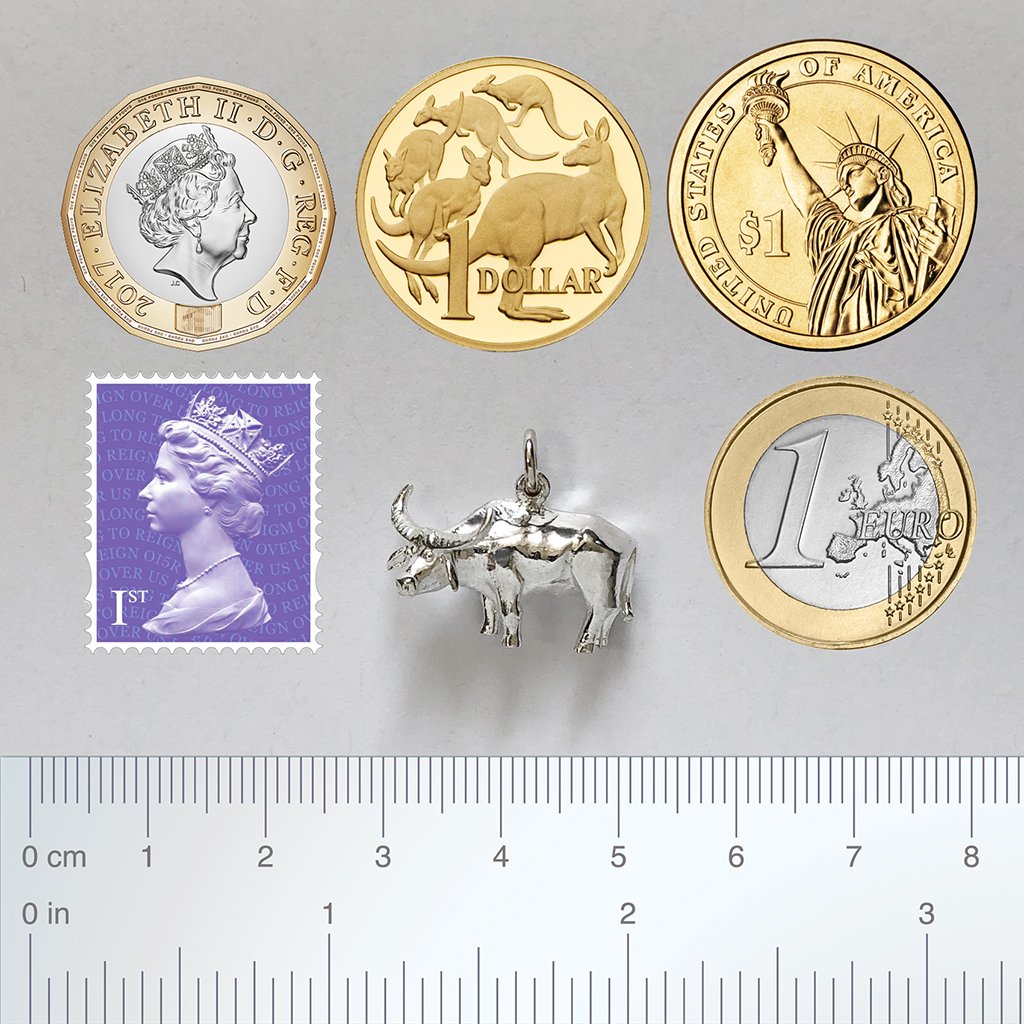 water buffalo charm