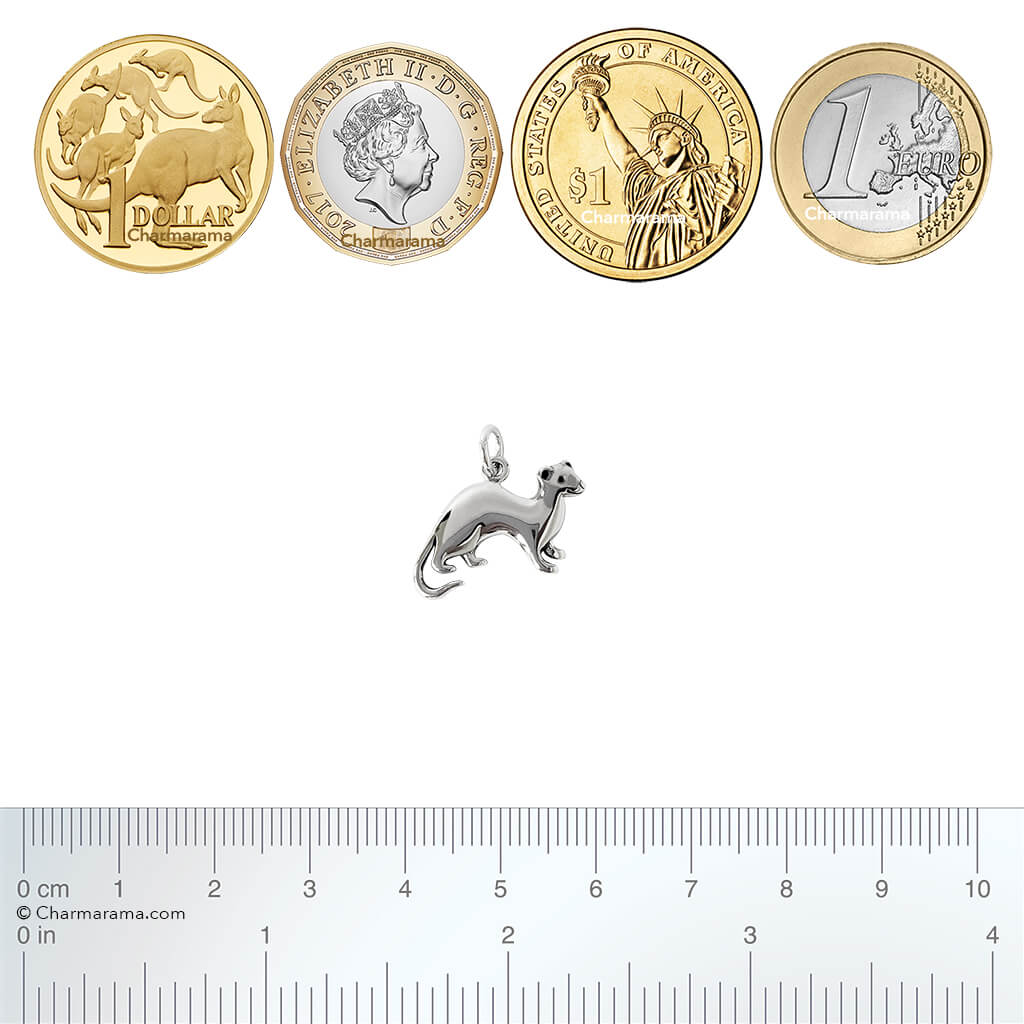 ferret charm