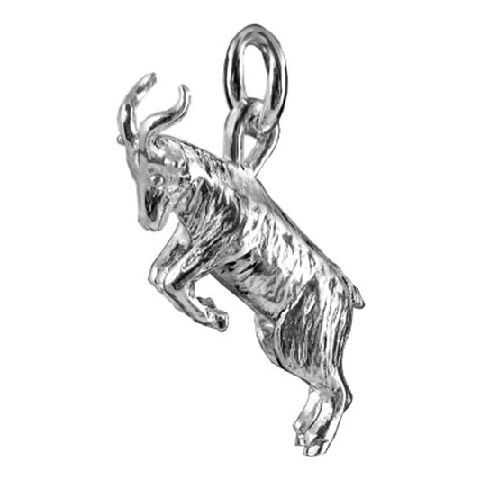 zodiac capricorn the goat charm