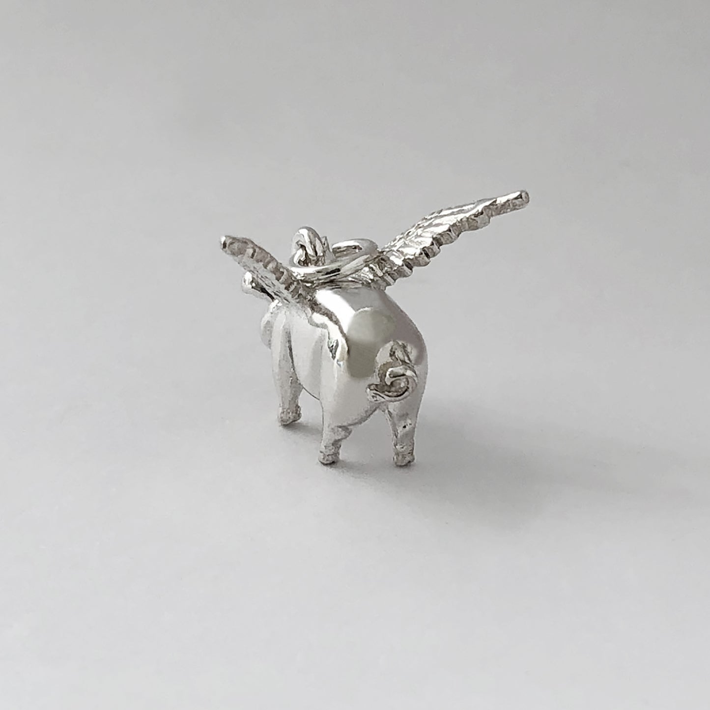 pigs might fly charm