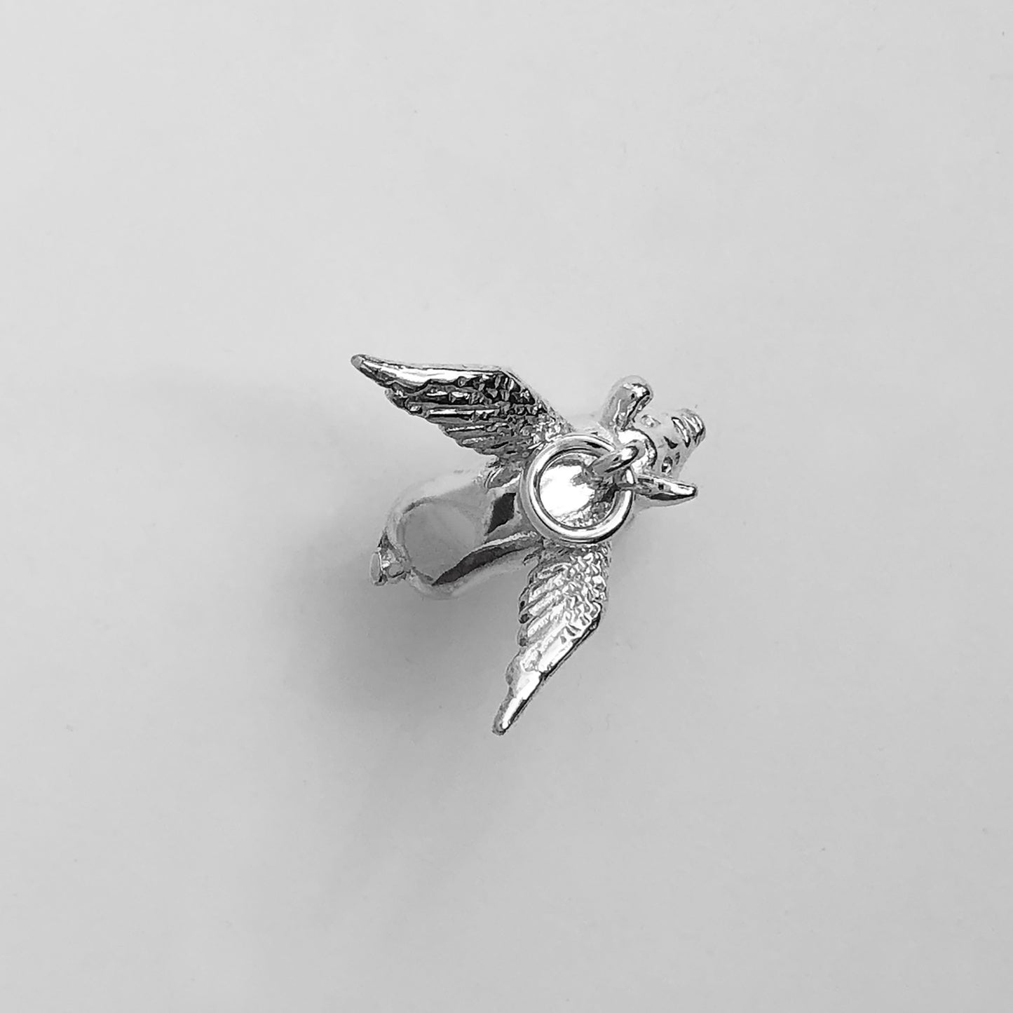 pigs might fly charm