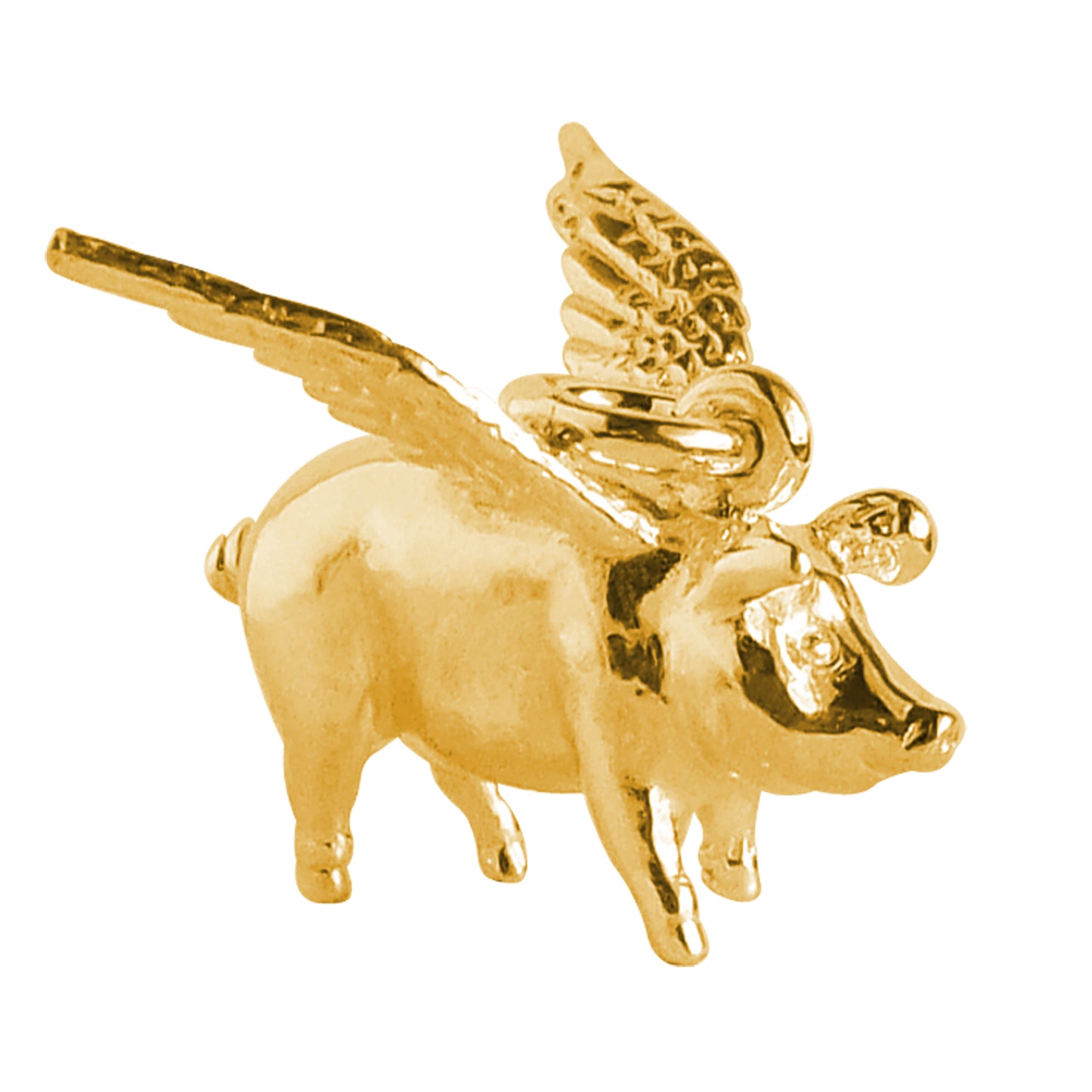 pigs might fly charm