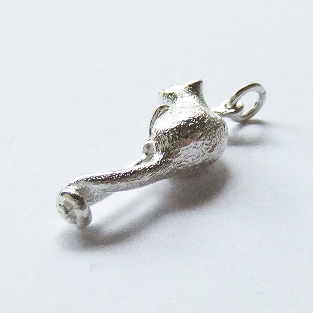 ringtail possum charm