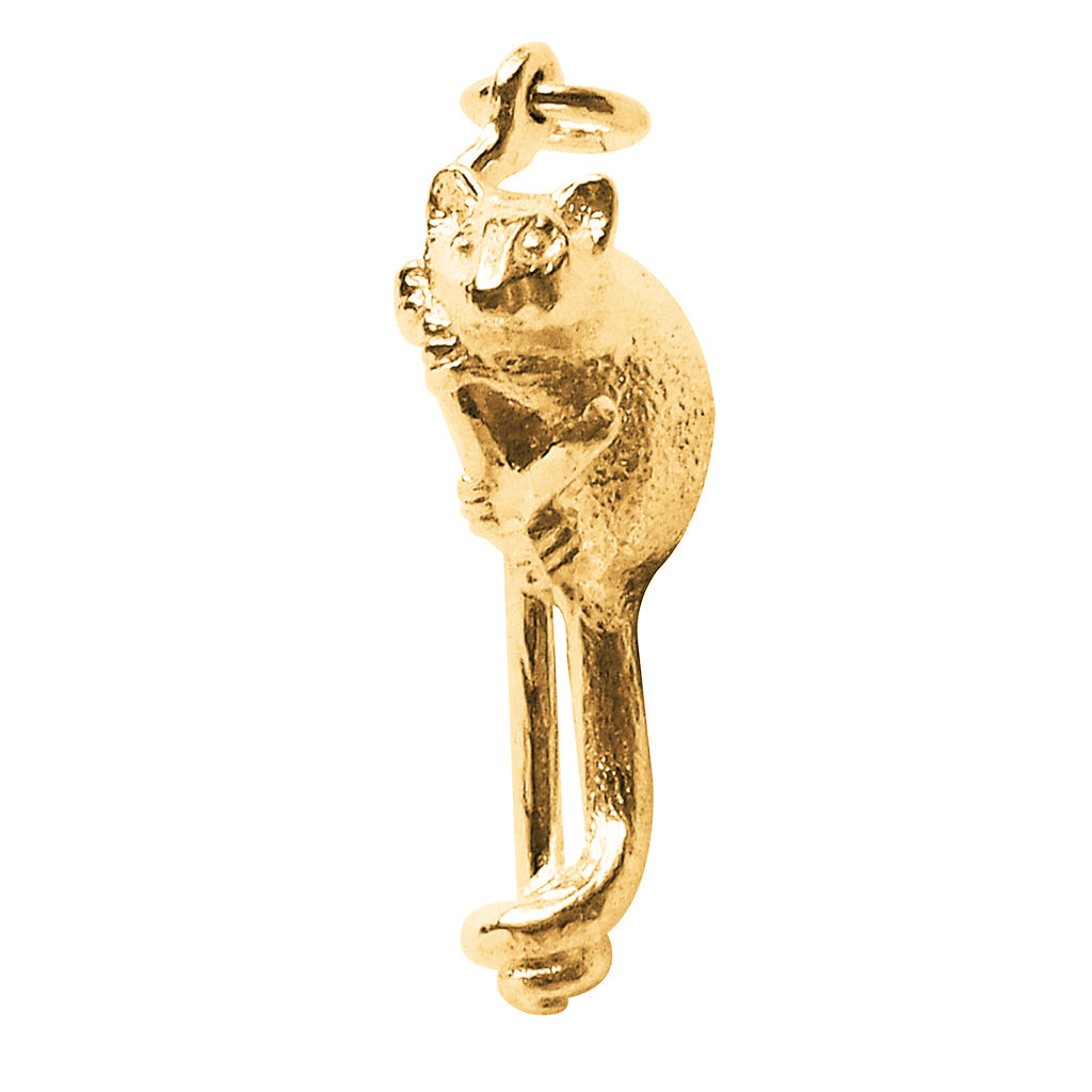 ringtail possum charm