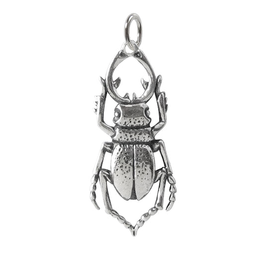 stag beetle charm