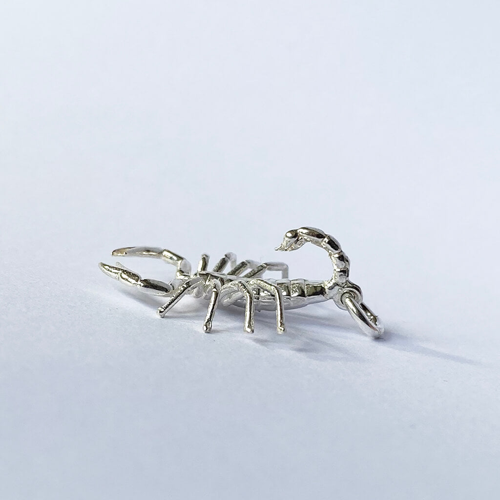 zodiac scorpio the scorpion charm