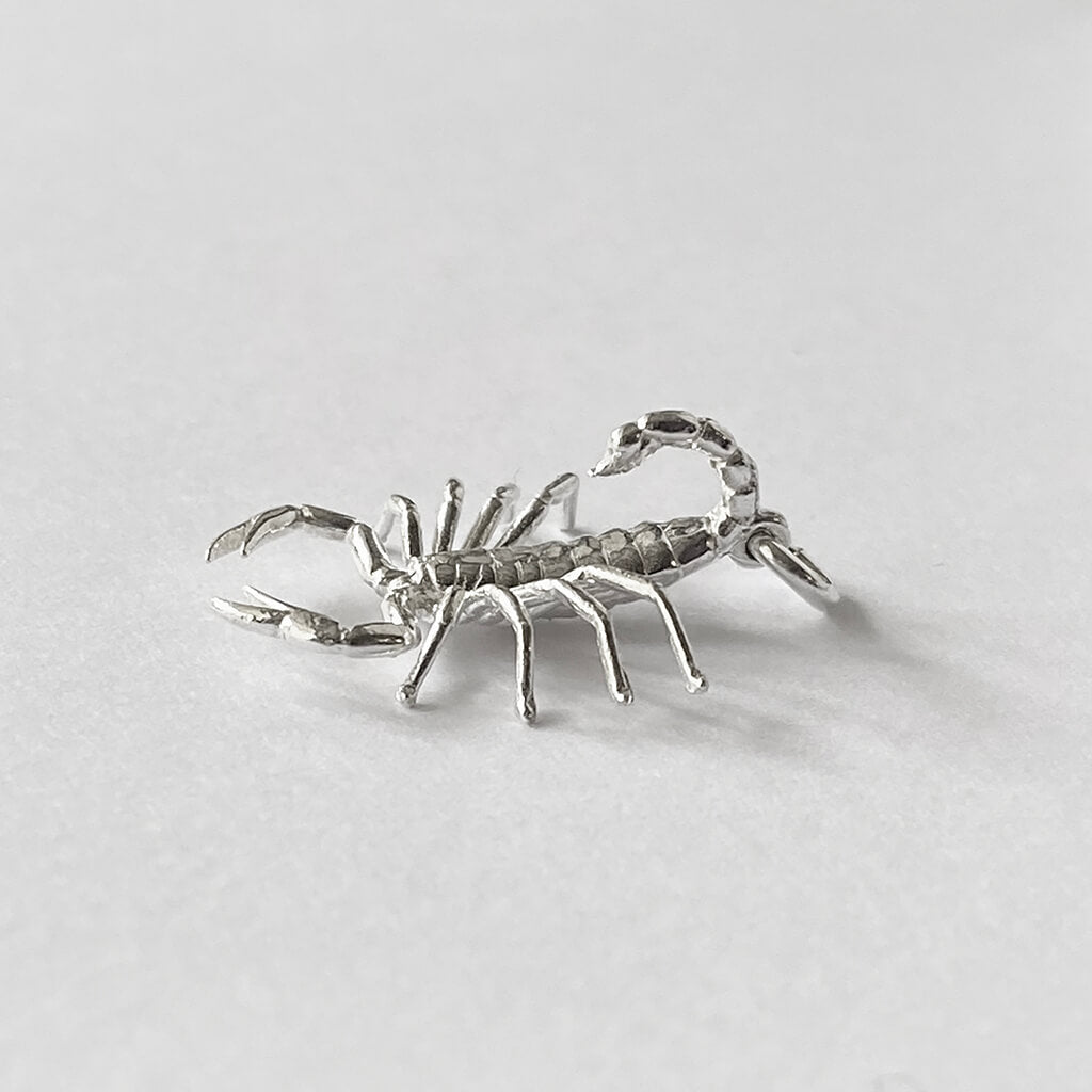 zodiac scorpio the scorpion charm