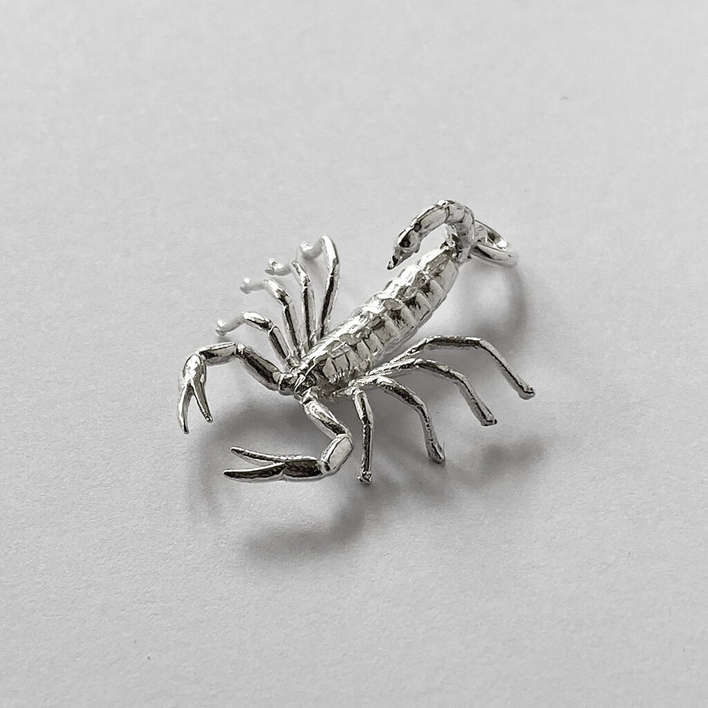 zodiac scorpio the scorpion charm