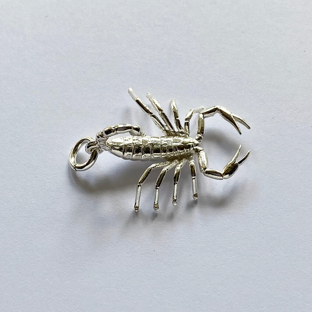 zodiac scorpio the scorpion charm