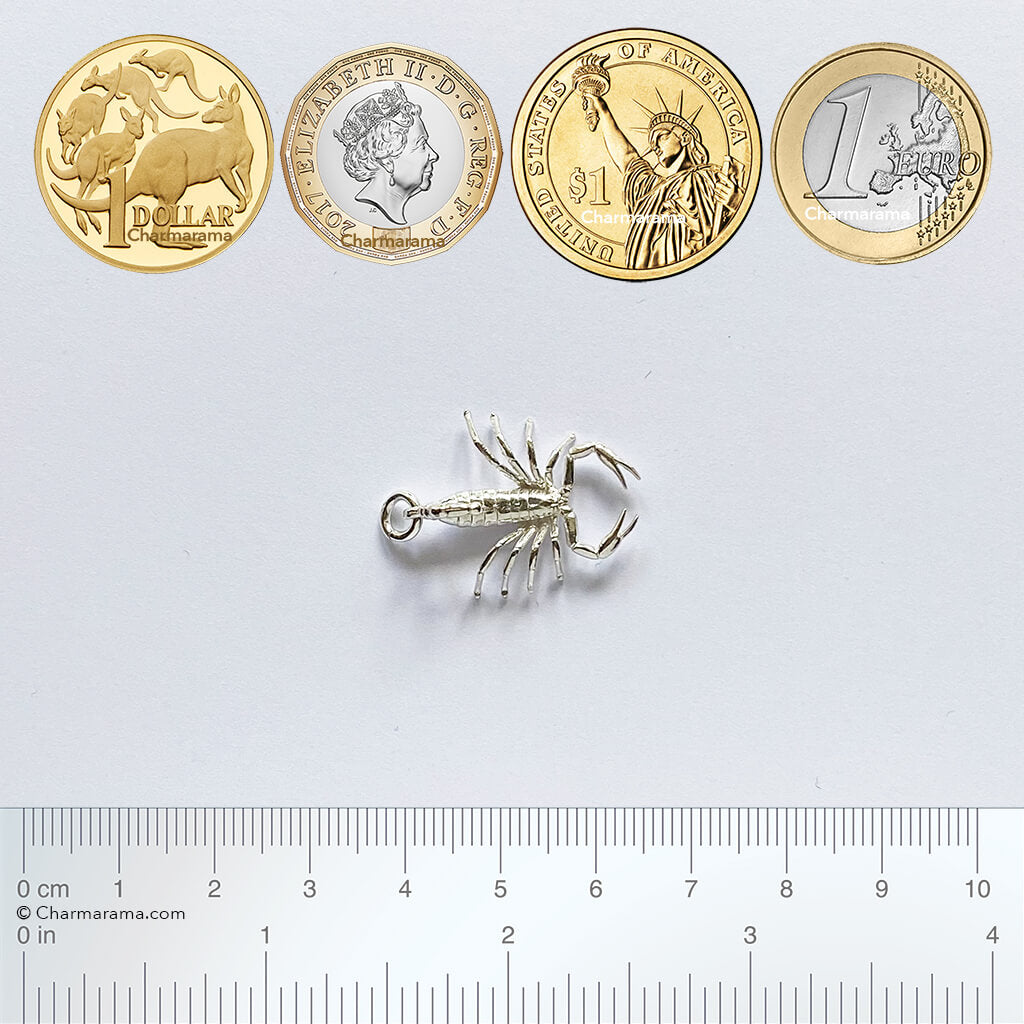 zodiac scorpio the scorpion charm