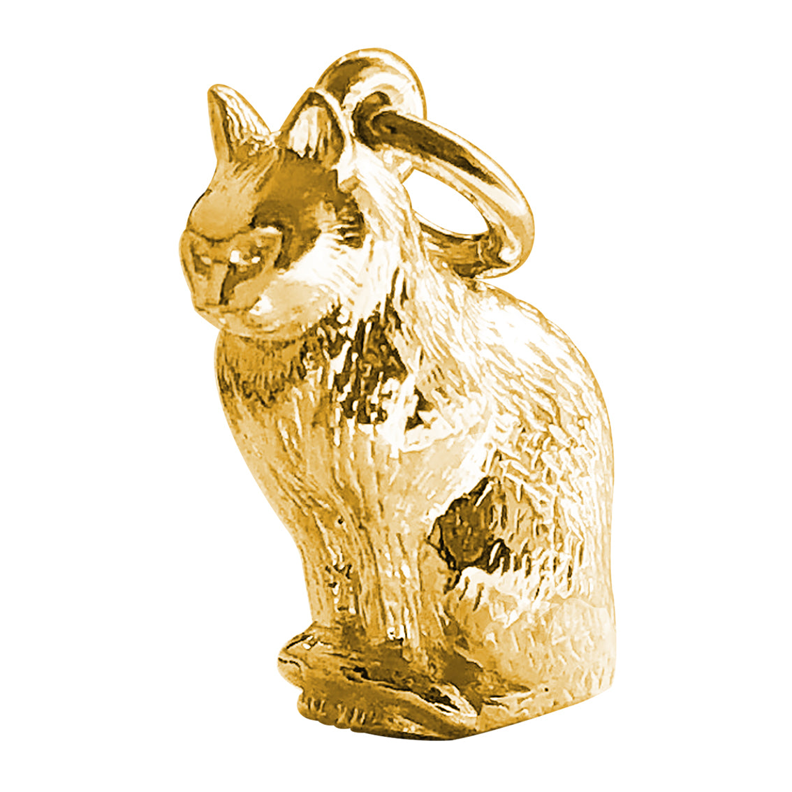 domestic cat charm