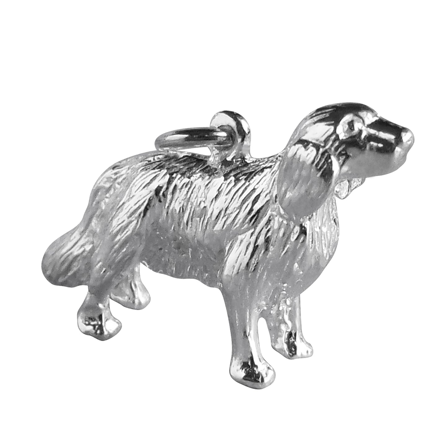 retriever charm
