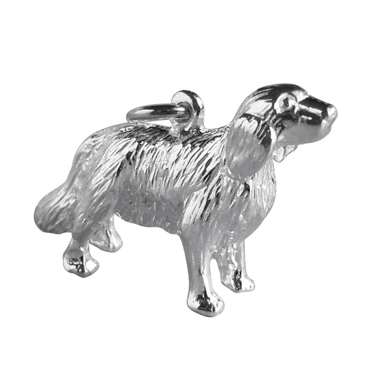 retriever charm