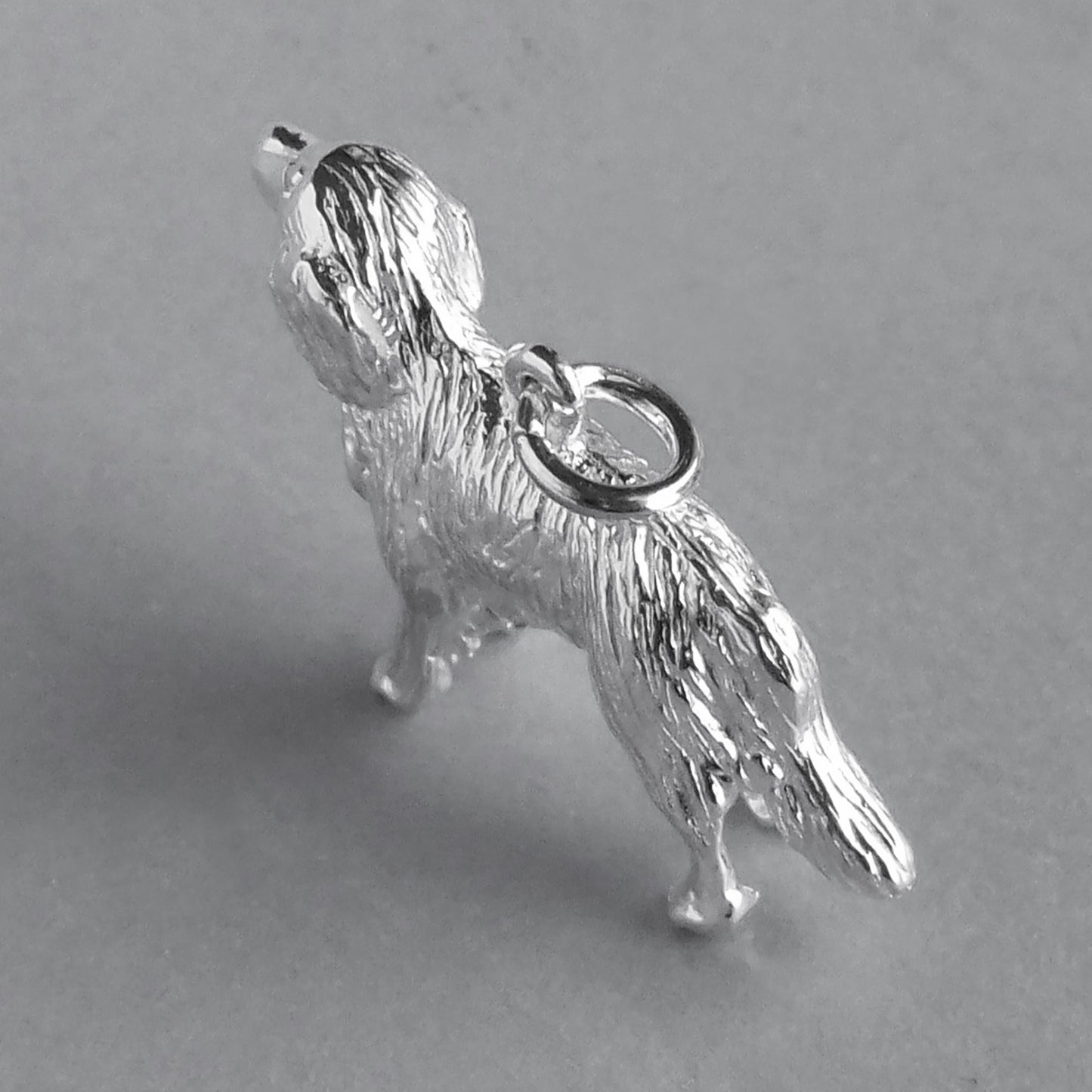retriever charm