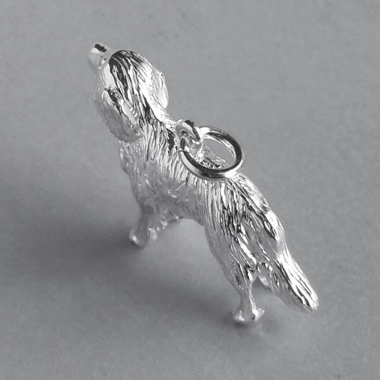 retriever charm