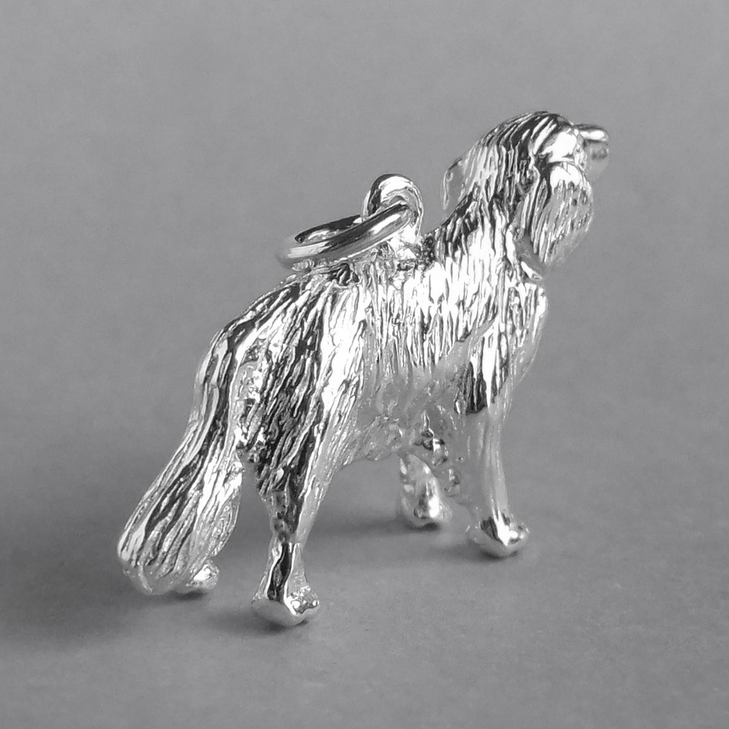 retriever charm
