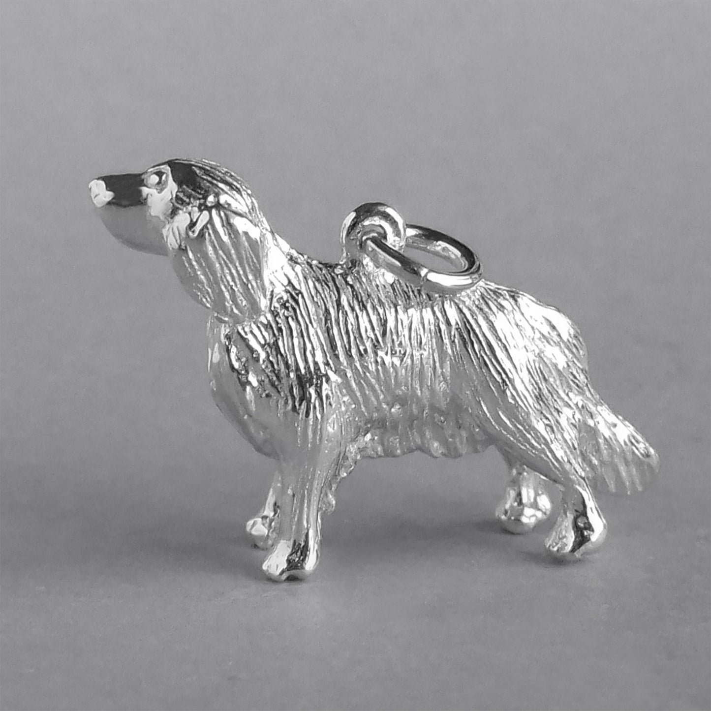 retriever charm