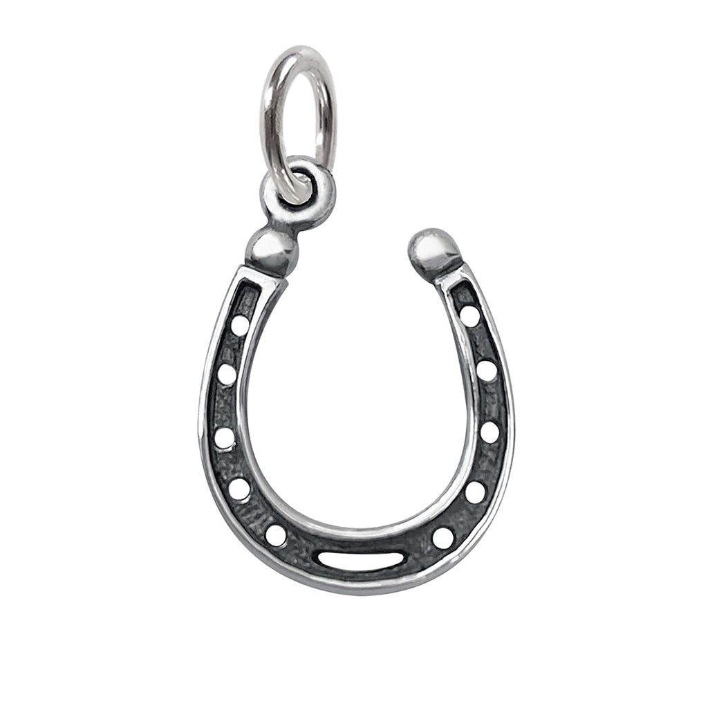 horseshoe charm