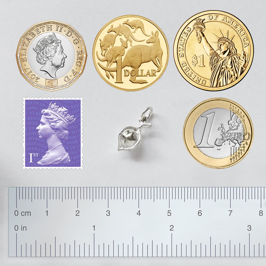 macadamia nut charm