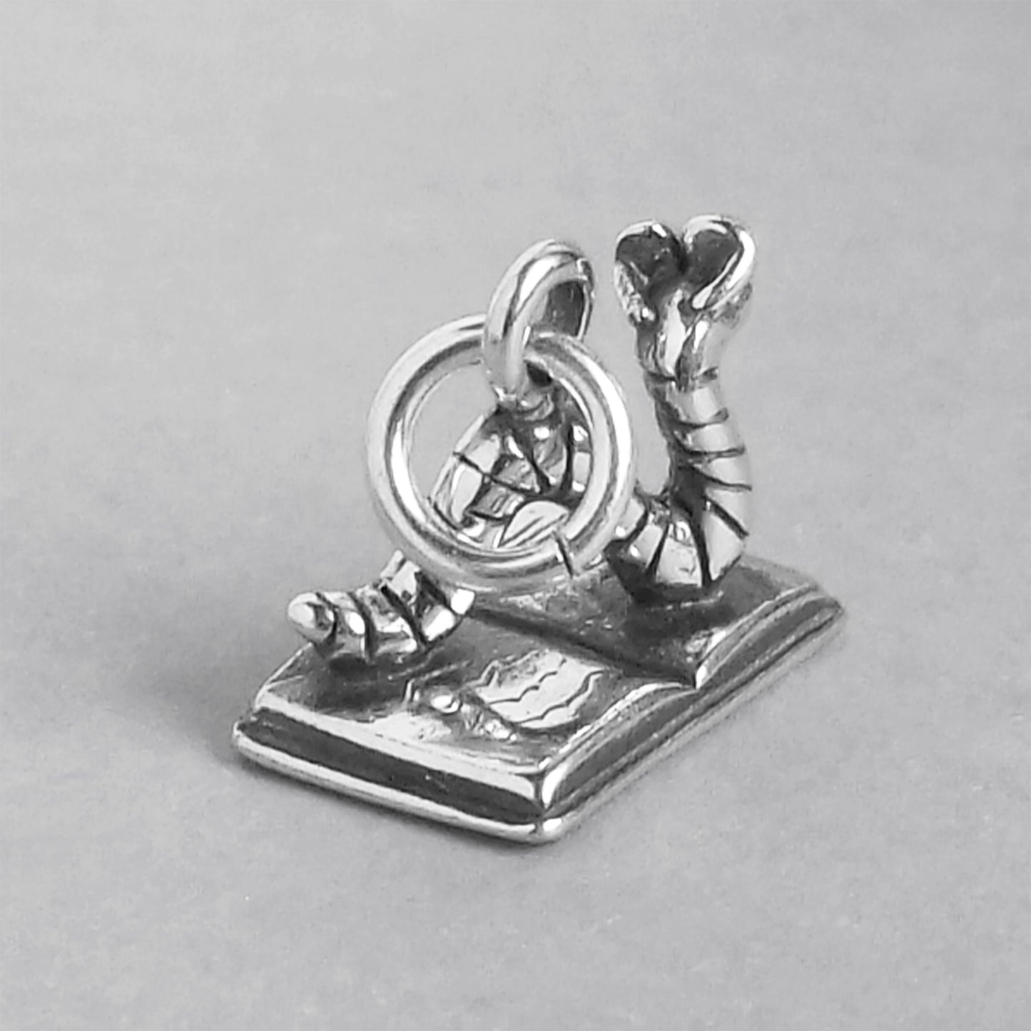 bookworm charm