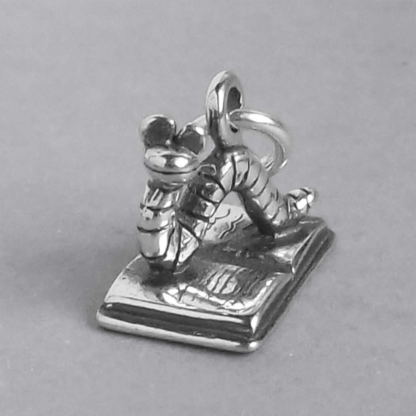 bookworm charm