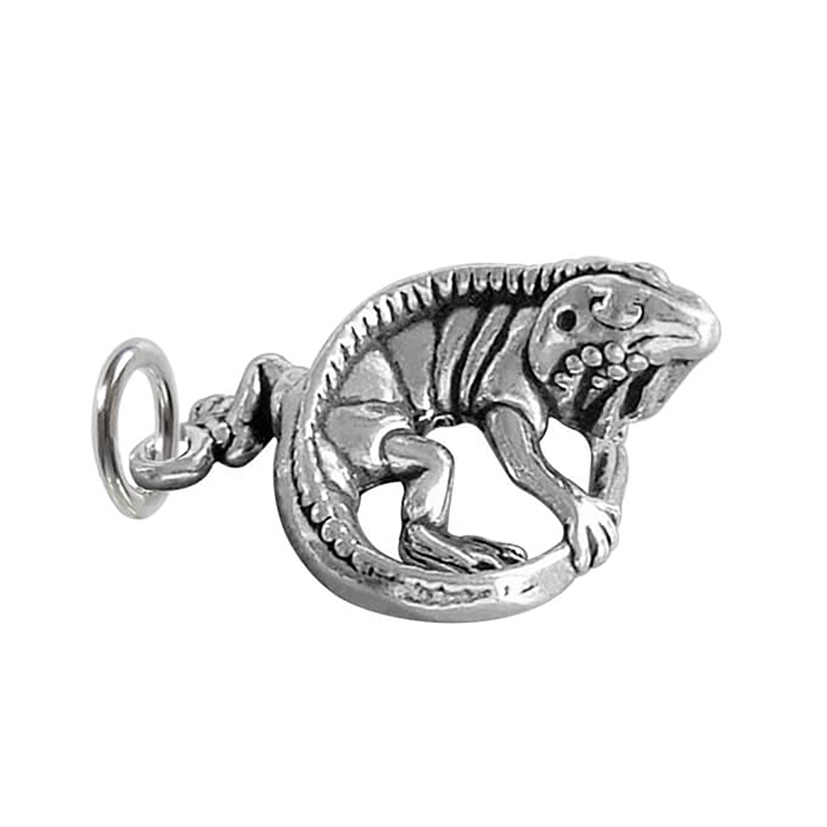 iguana lizard charm