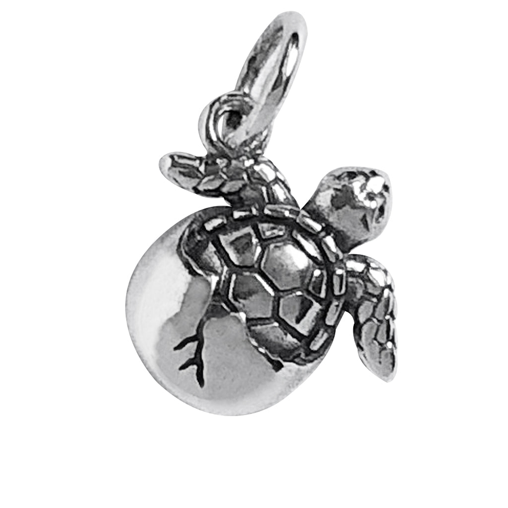 turtle hatchling charm