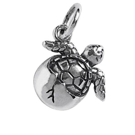 turtle hatchling charm