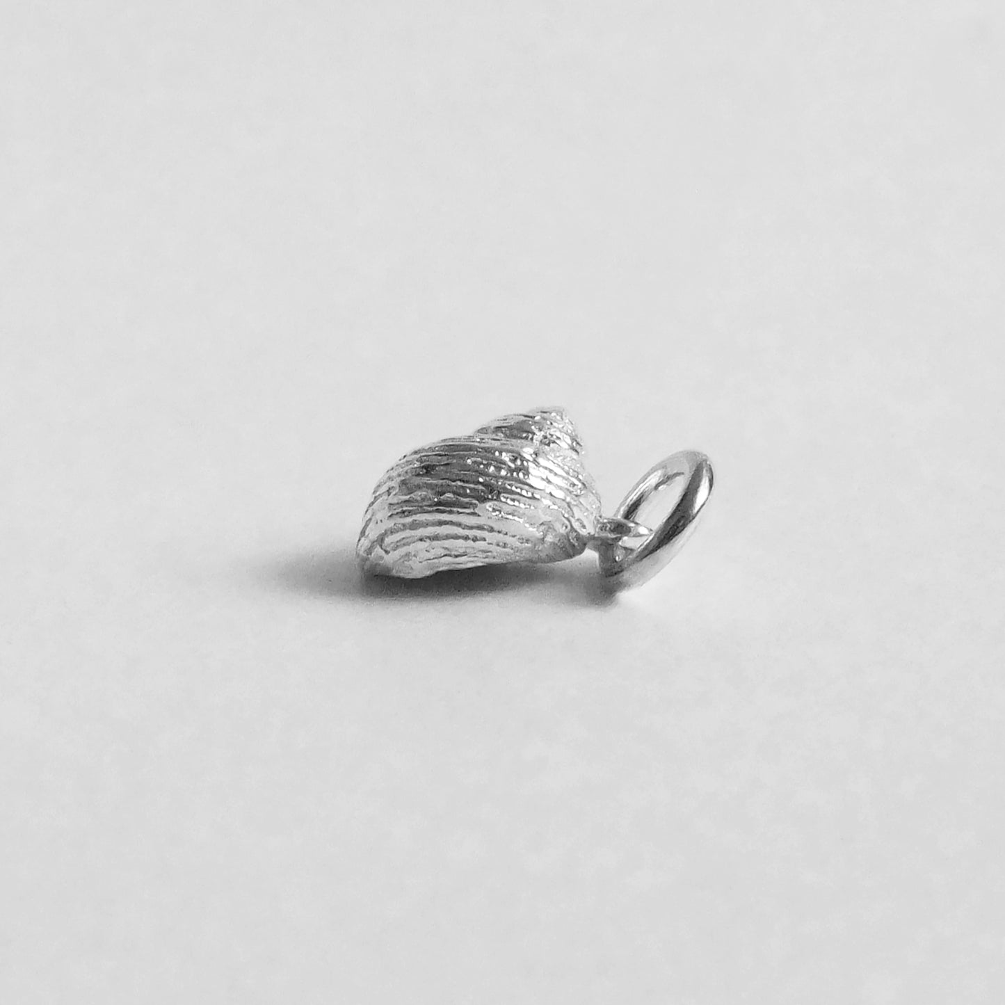 winkle shell charm
