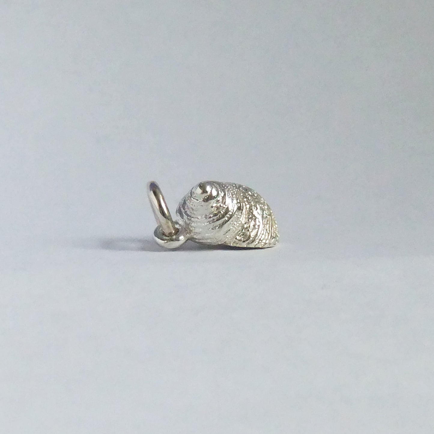 winkle shell charm
