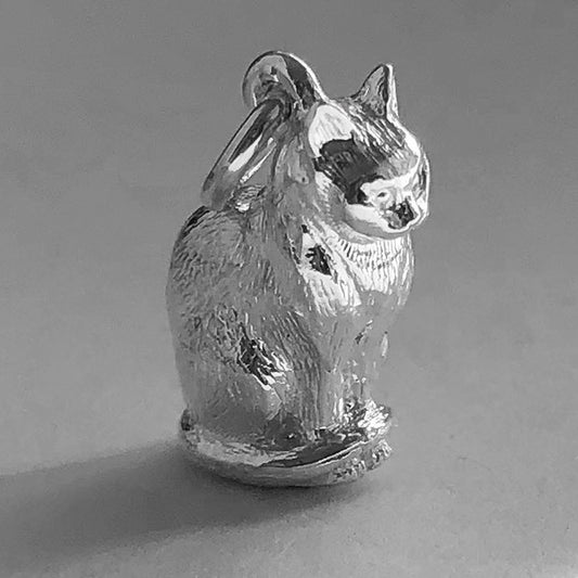 Sterling silver sitting domestic cat charm on a grey background