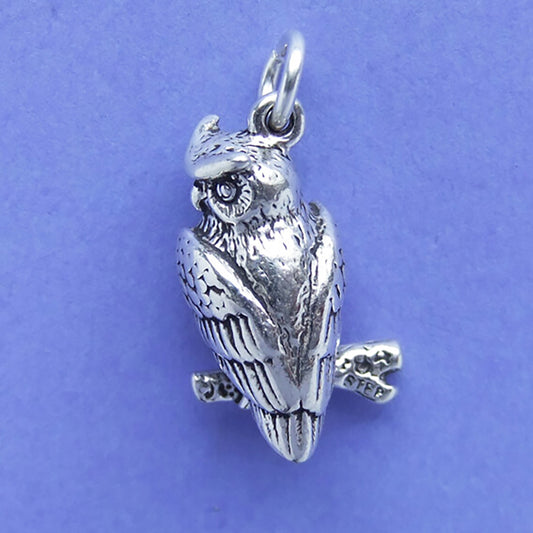 Sterling silver eagle owl charm on a purple background