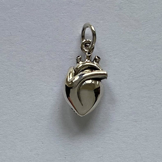 silver anatomical heart charm