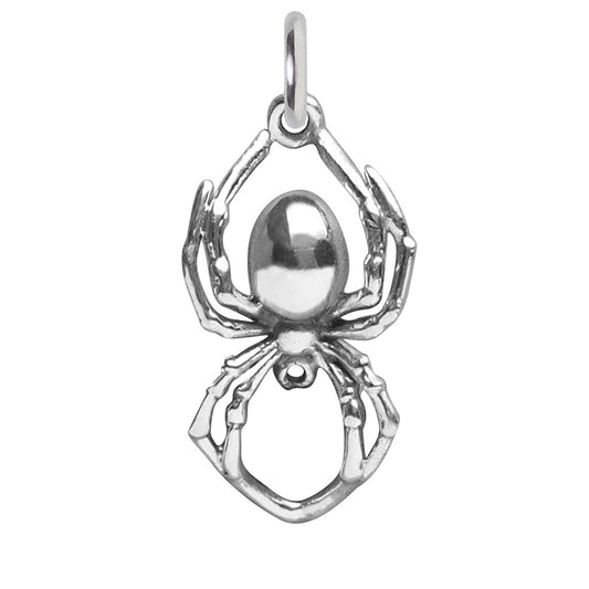 spider charm
