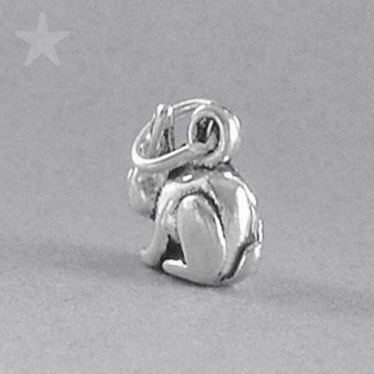 rabbit charm