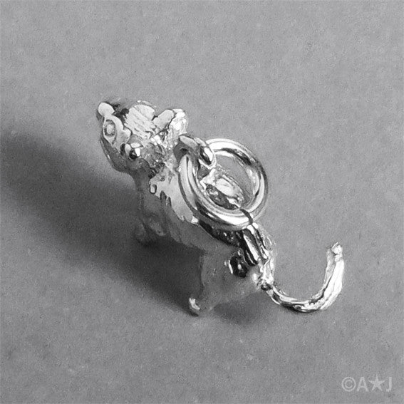 tasmanian devil charm