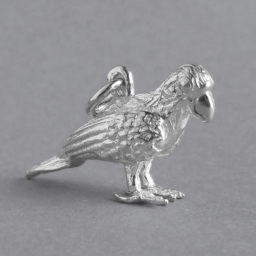 parrot charm