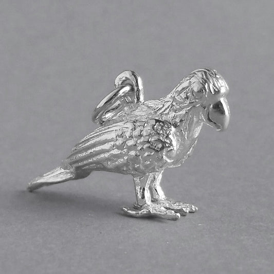 parrot charm