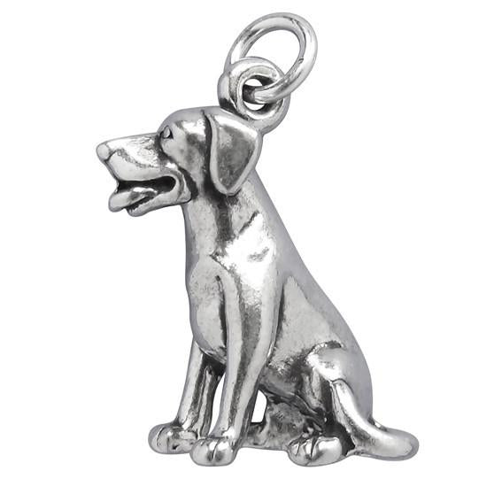 labrador sitting charm