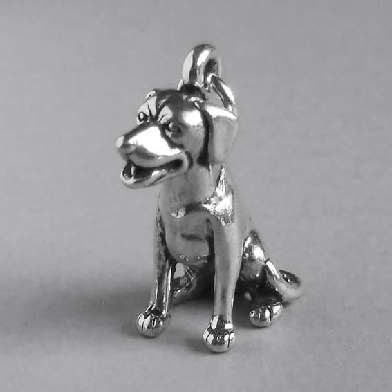 labrador sitting charm