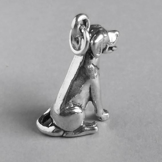 labrador sitting charm