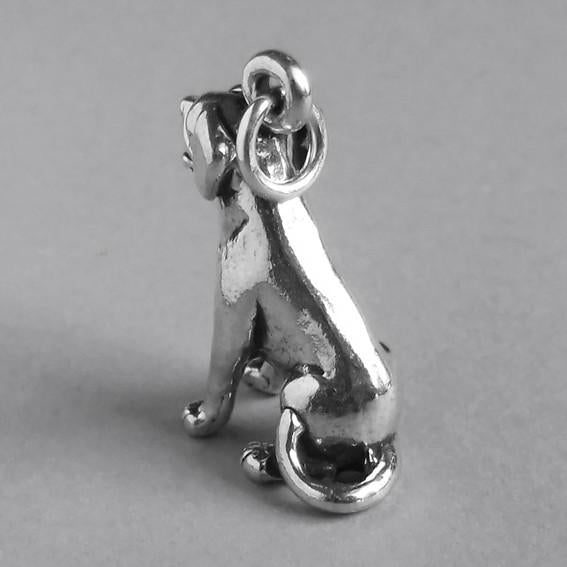 labrador sitting charm