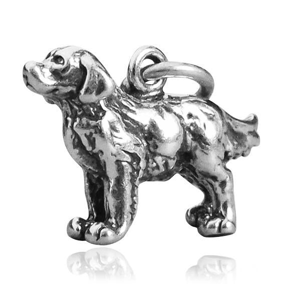 retriever charm