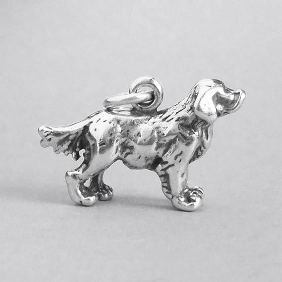 retriever charm