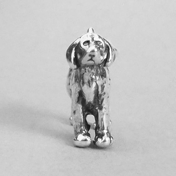 retriever charm