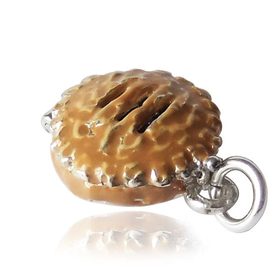 Fruit Pie Charm